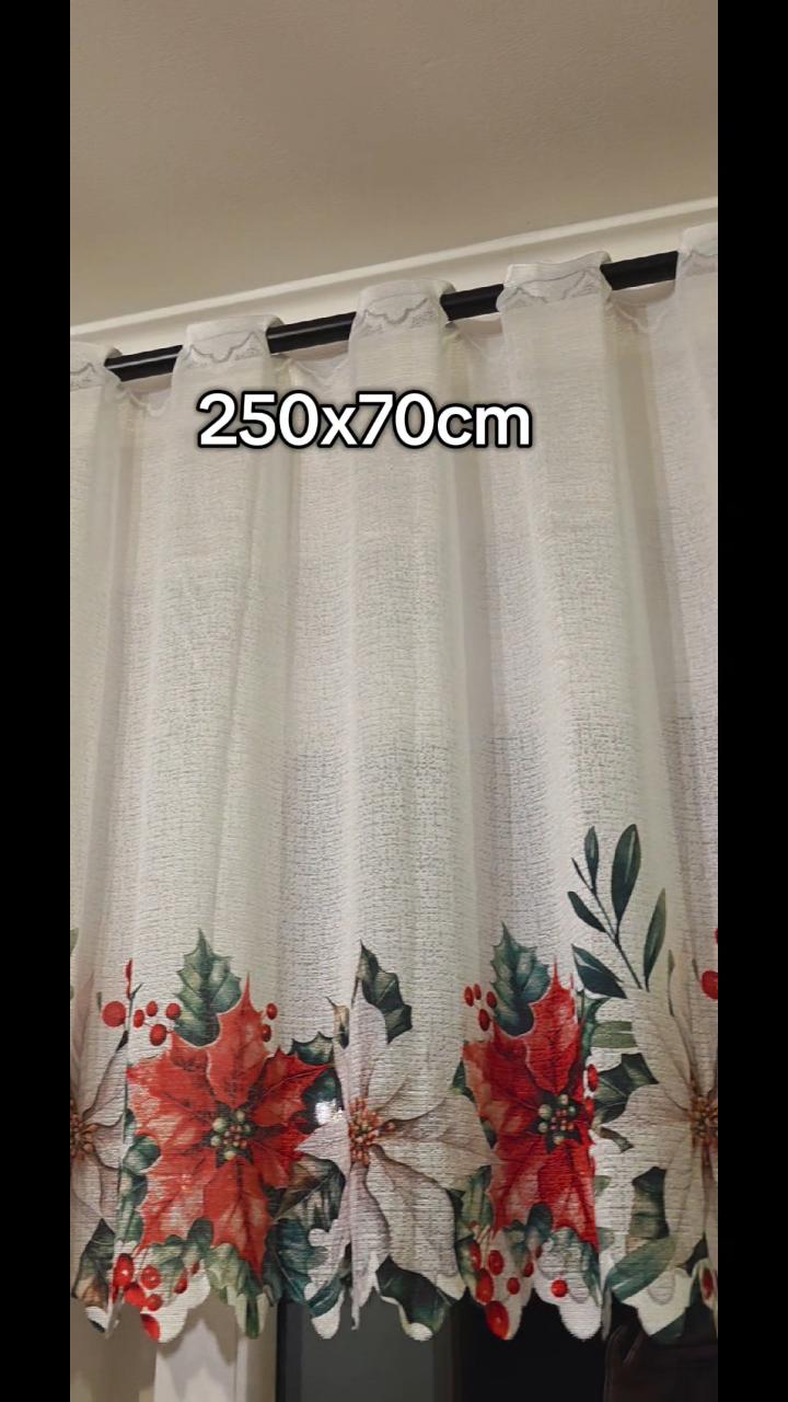 Gwiazda Betlejemska Zazdrostka 250x70cm 