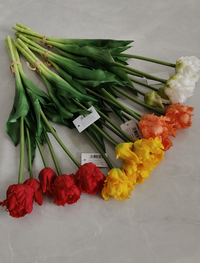 Bukiet /Wiązka tulipanów gumowych papuzi