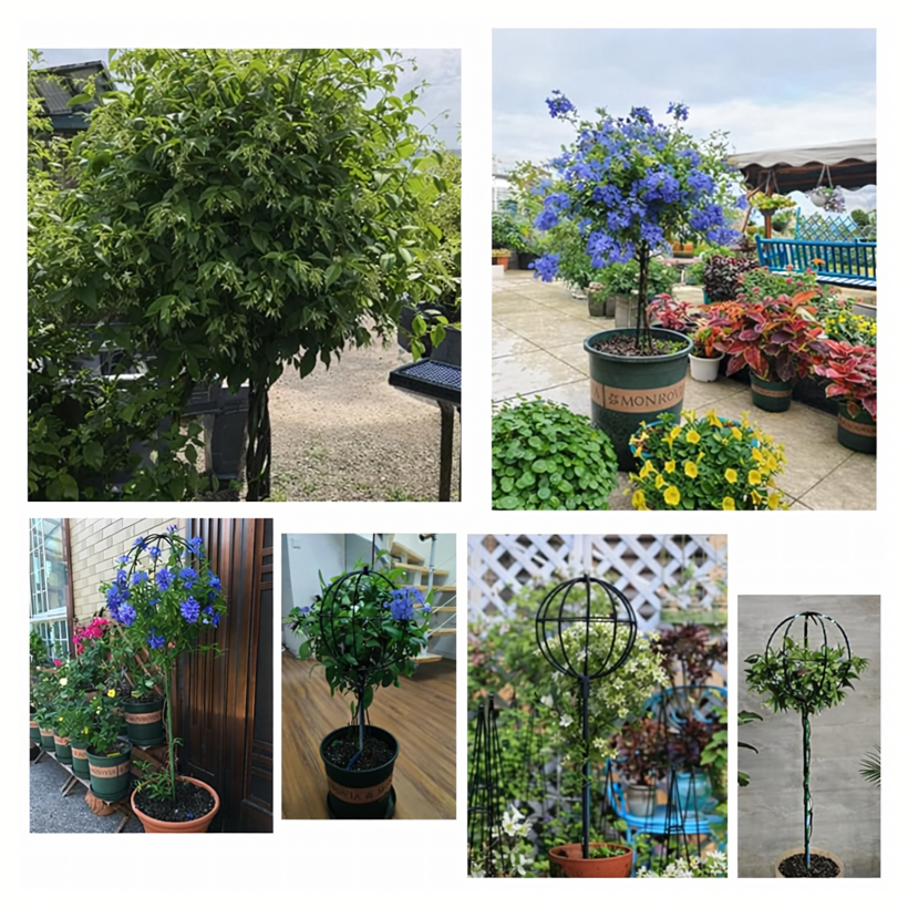 Pergola ogrodowa tarasowa metalowa podpora do pnączy róż kwiatów 50x10cm czarna