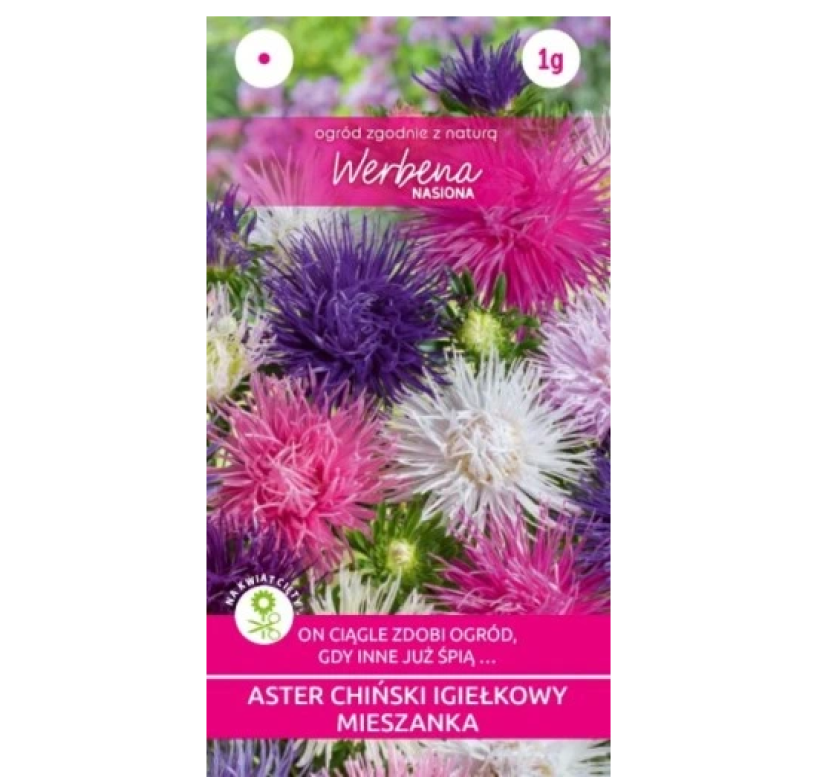 Aster chiński igiełkowy MIX nasiona 1 g
