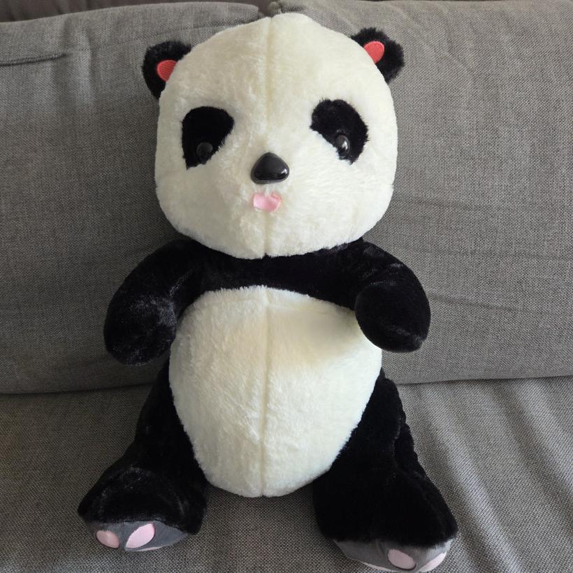 Panda z kocem