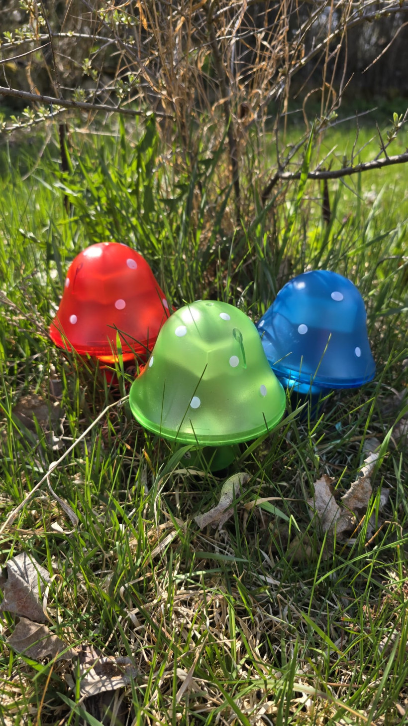 Solarny muchomor zielony