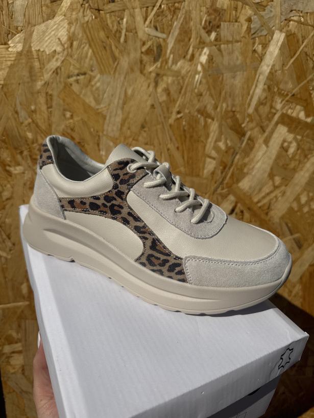 HIT 3 GOODIN gd-xf-201 beige beżowy adik leo