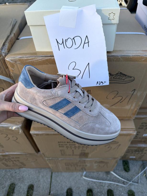 moda 31 goodin