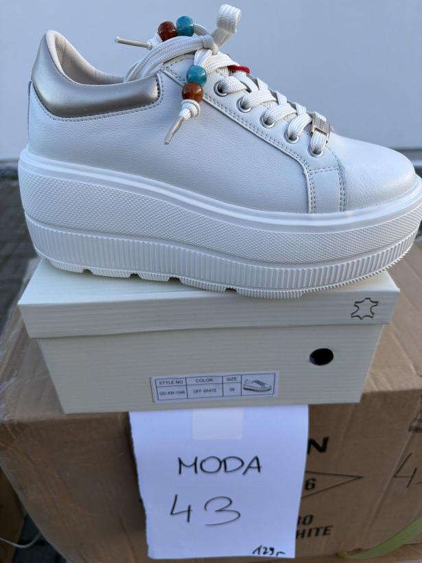 moda 43 goodin