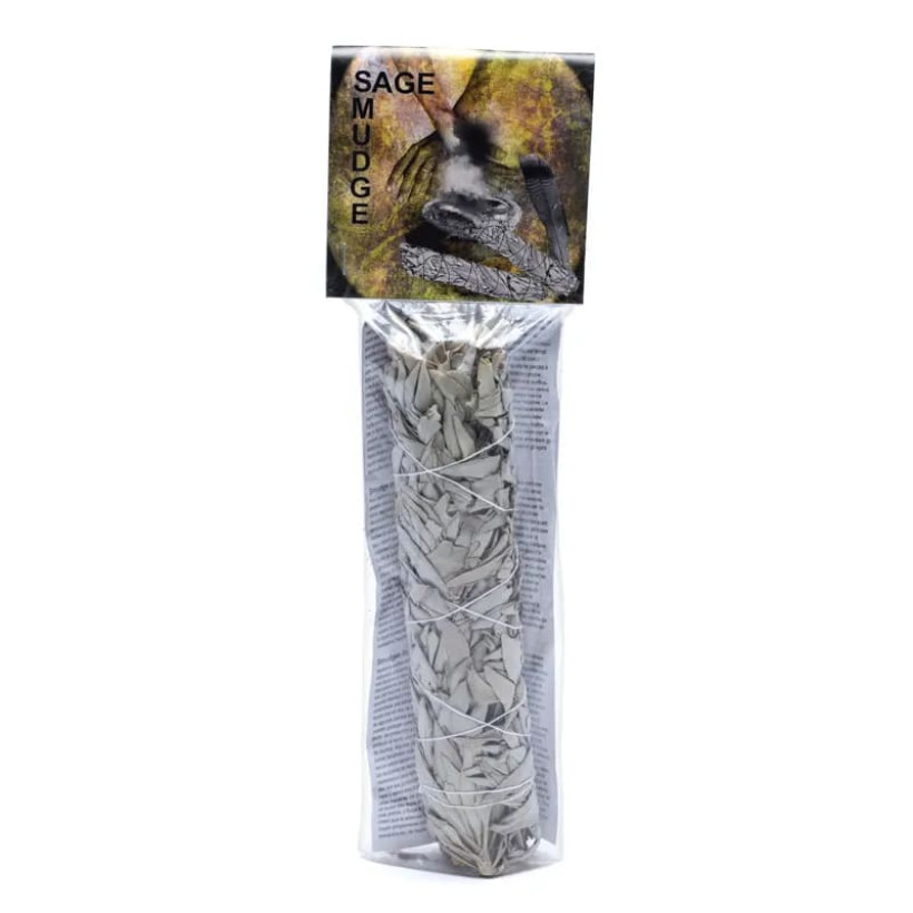 Sauge blanche  L