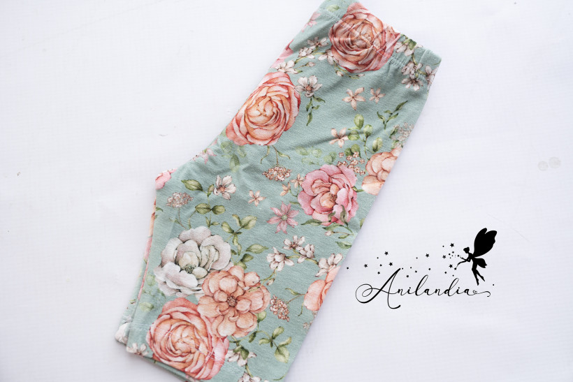 Kolarki morelowe kwiaty Haydi