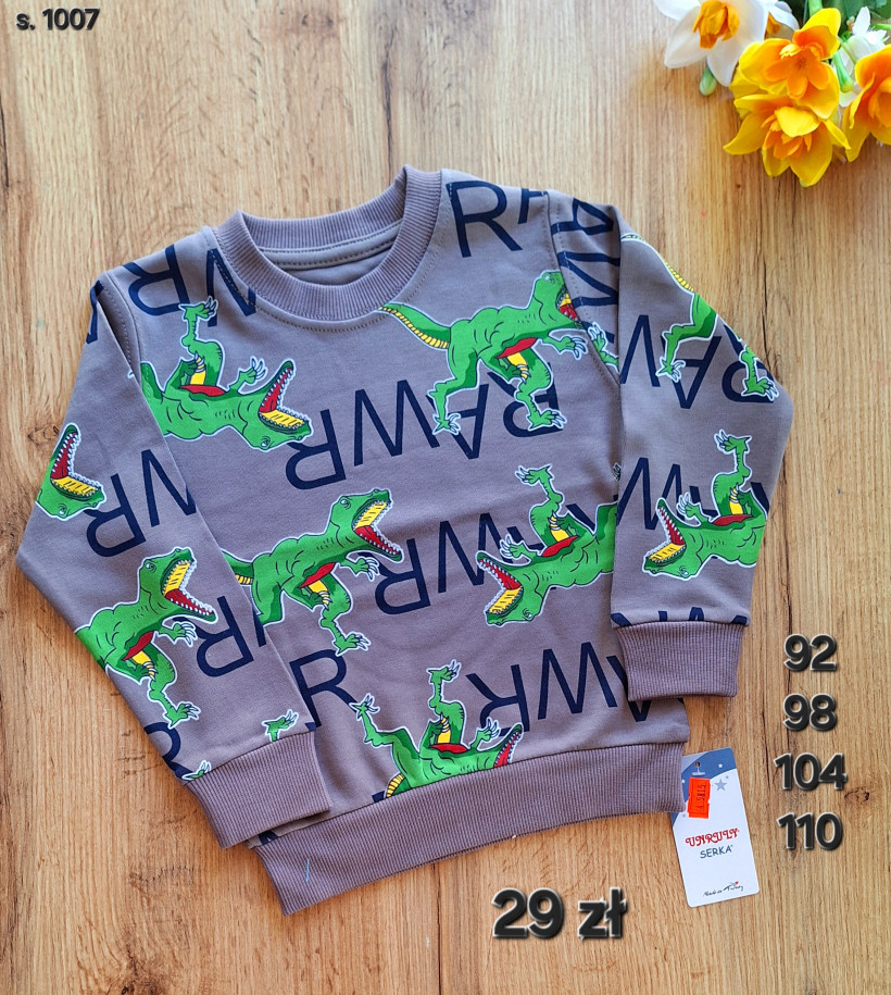 Bluza z dino "RAWR"  fango