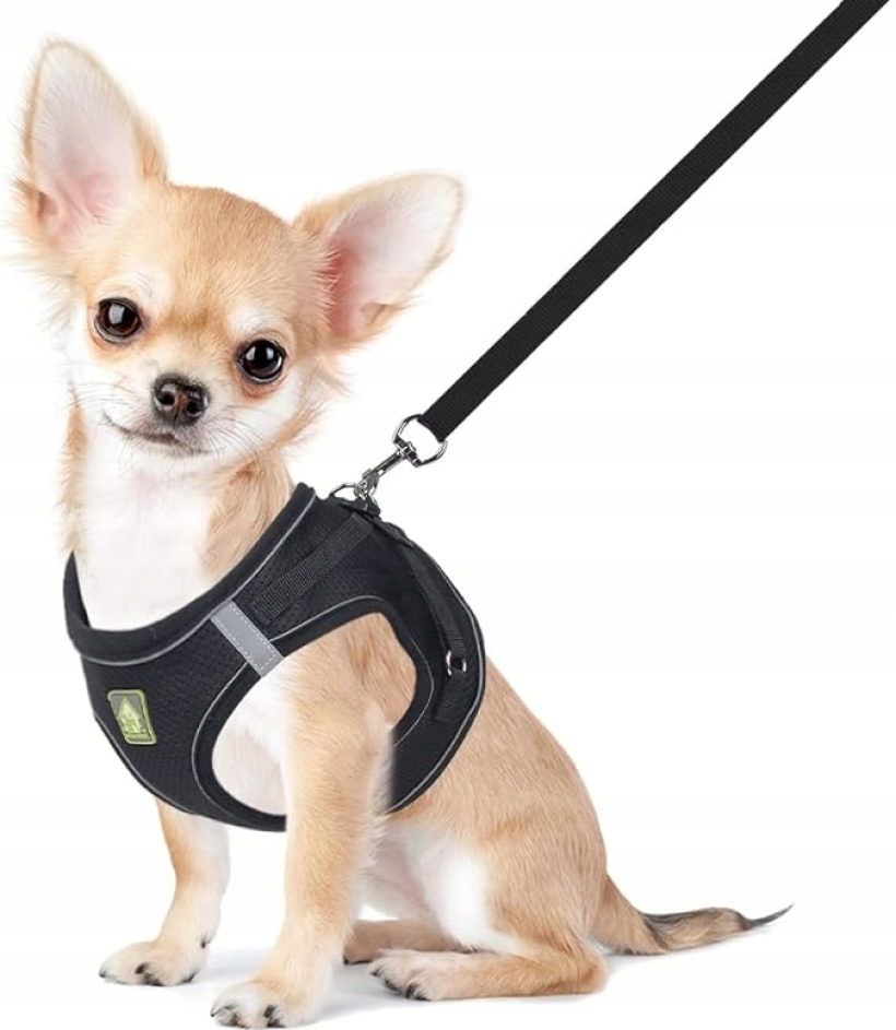 Zestaw uprzęży i smyczy dla psa FEimaX