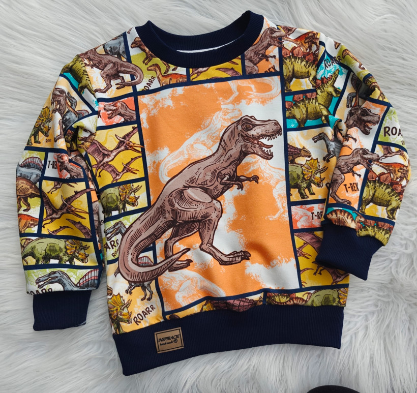 Bluza Dinozaury INSPIRACJE