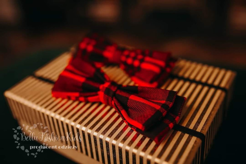 Mucha krata tata/syn od Bellu