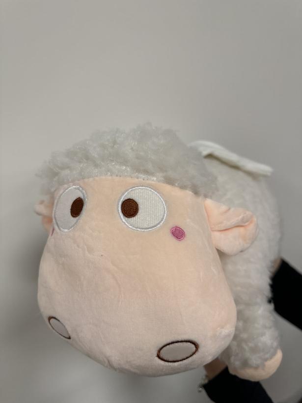 Ovečka - plyšák s dekou