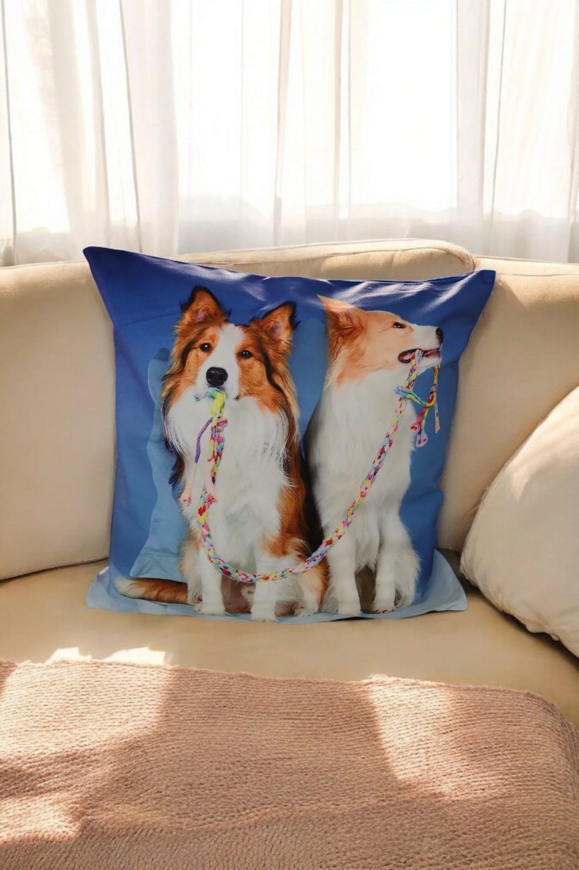 Poszewka dekoracyjna 40x40cm colie PA-197