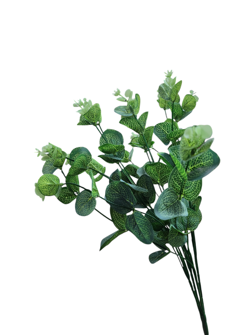 EUKALIPTUS 50cm a6451