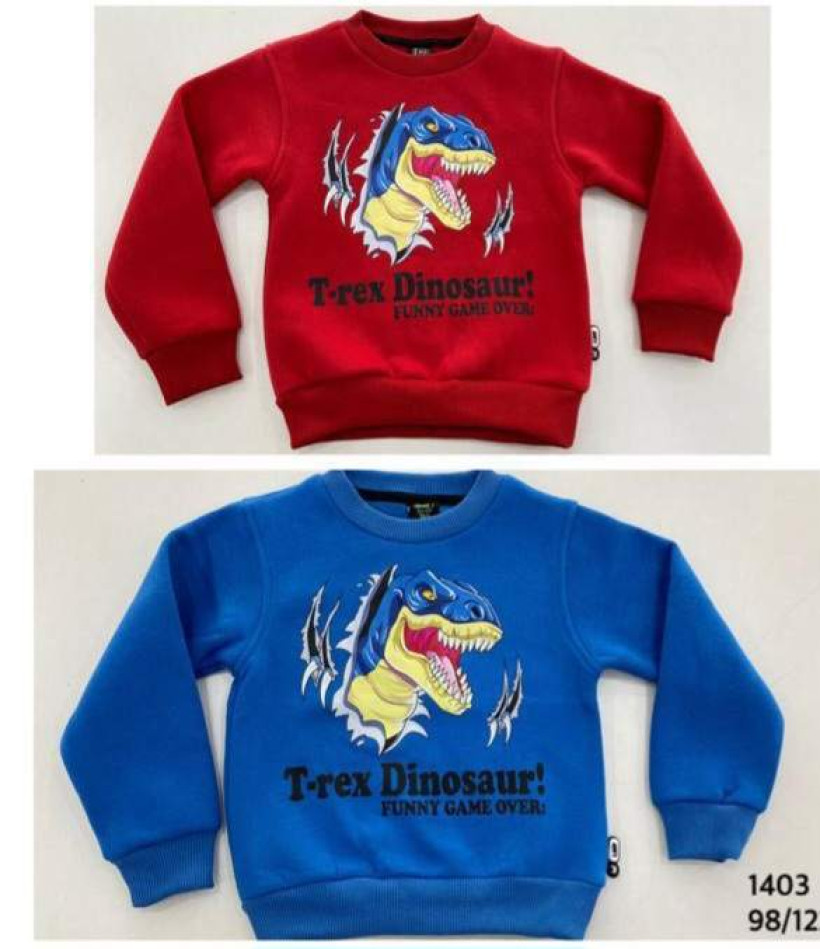 Bluza Dinozaur