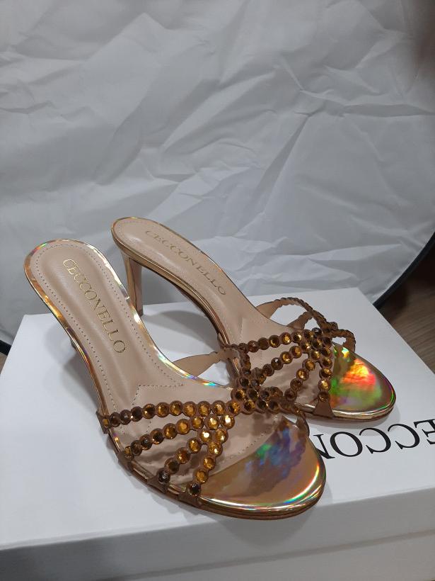 Saptos laranjas com reflexos coloridos