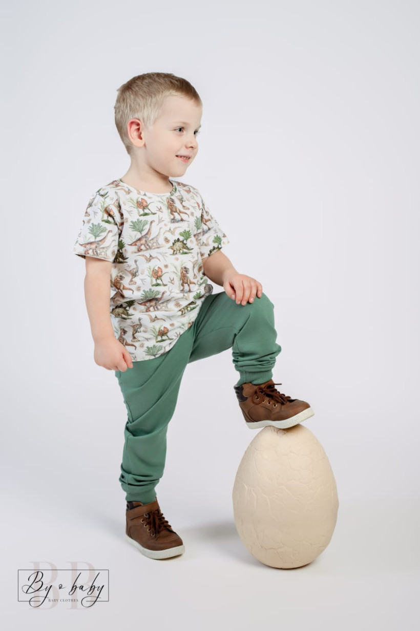 Bluzka Dinozaury By o Baby