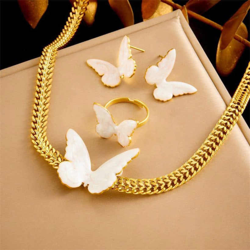 Conjunto borboleta - selmo C12