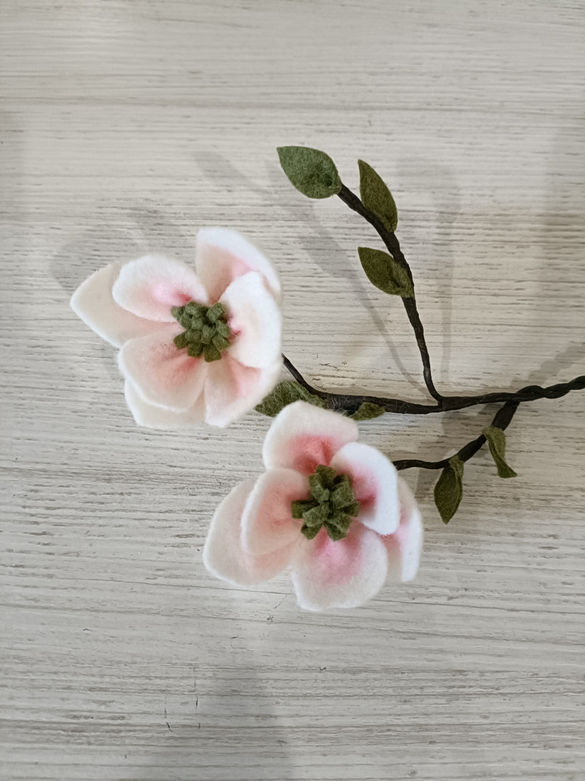 Kit Magnolia 