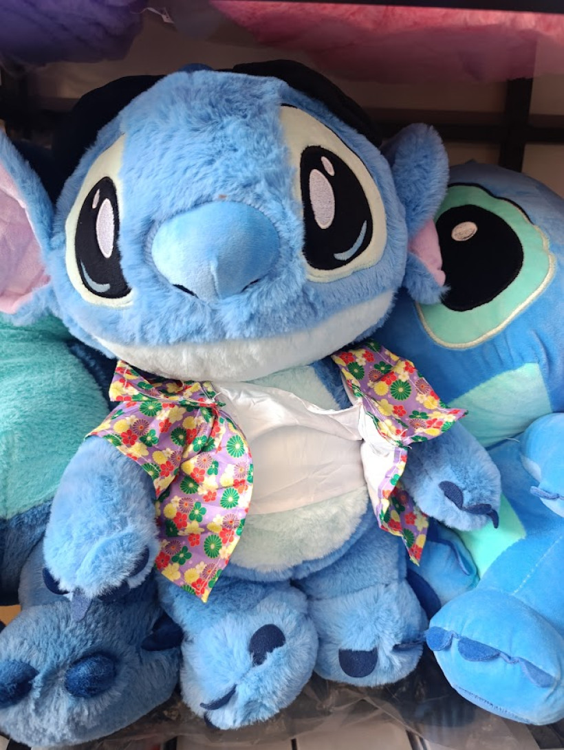 Stich w ubraniu