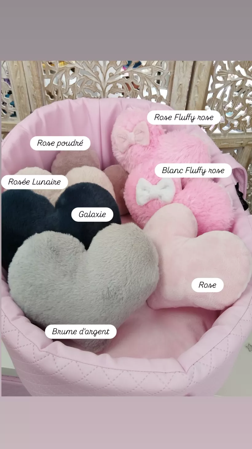 Coussin en Forme de Coeur