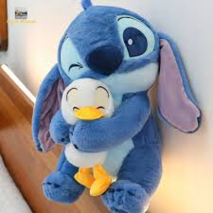 Stich z kaczką