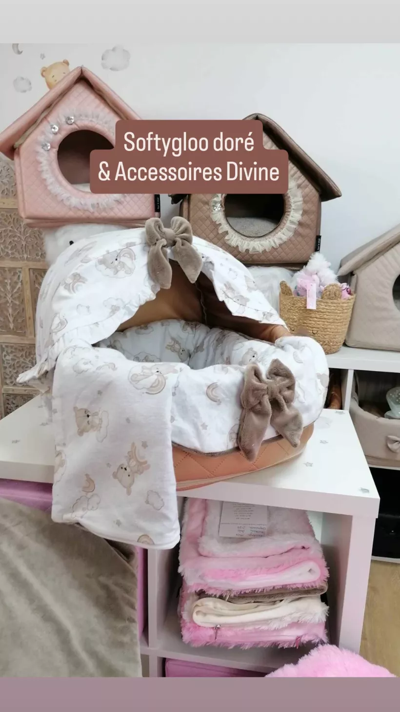 Accessoires pour Softygloo T2 