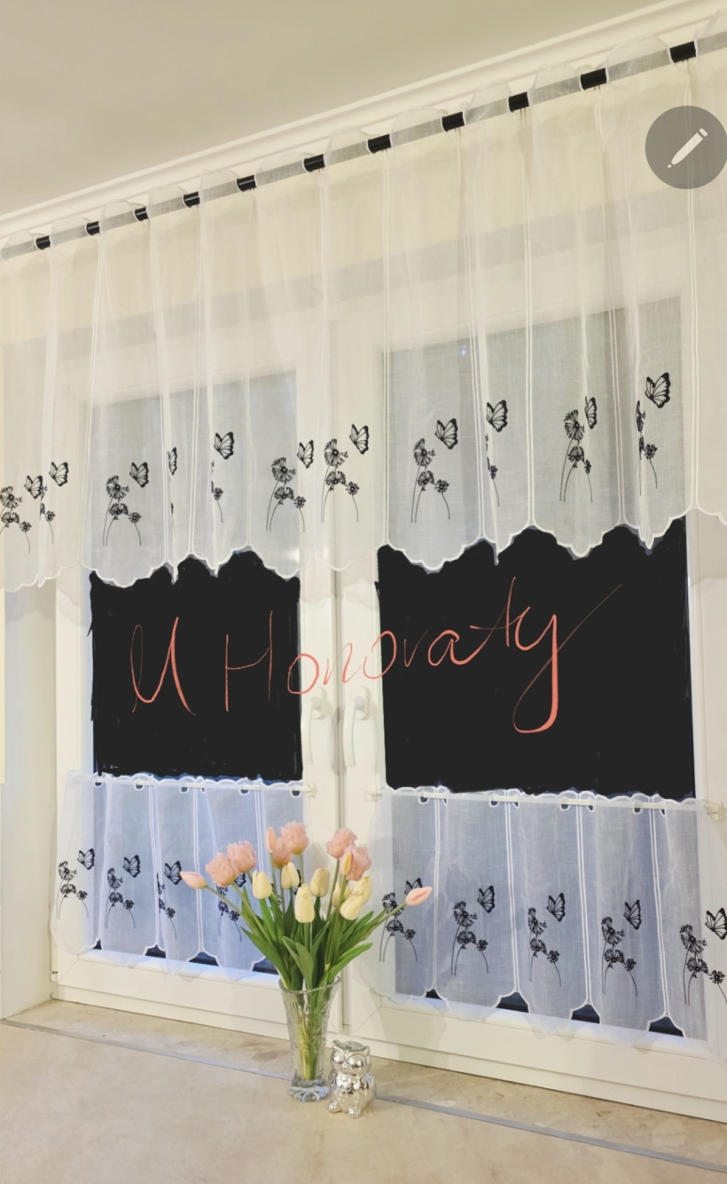 Zazdrostka Dmuchawce motyl czarny