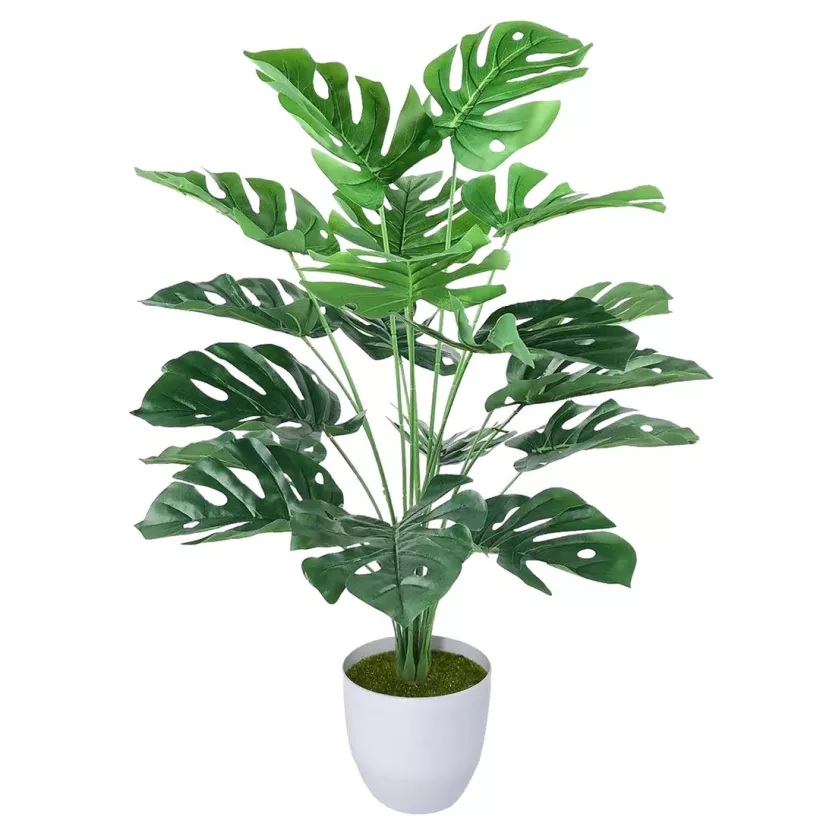 sztuczna monstera(c2)