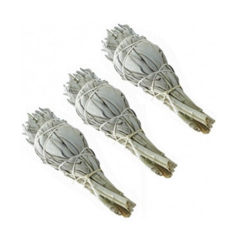 sauge blanche 3 pieces