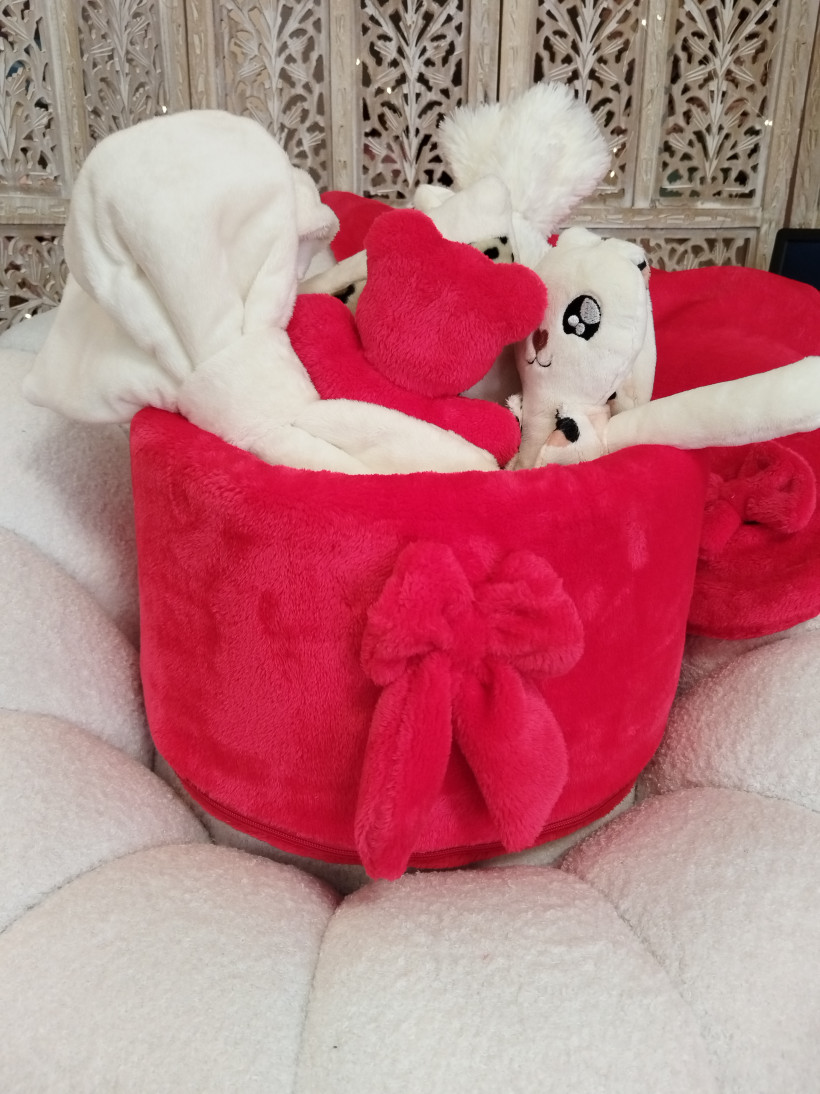 Housse pour Toybox Pilou Rouge Passion → Livraison après le 25 août