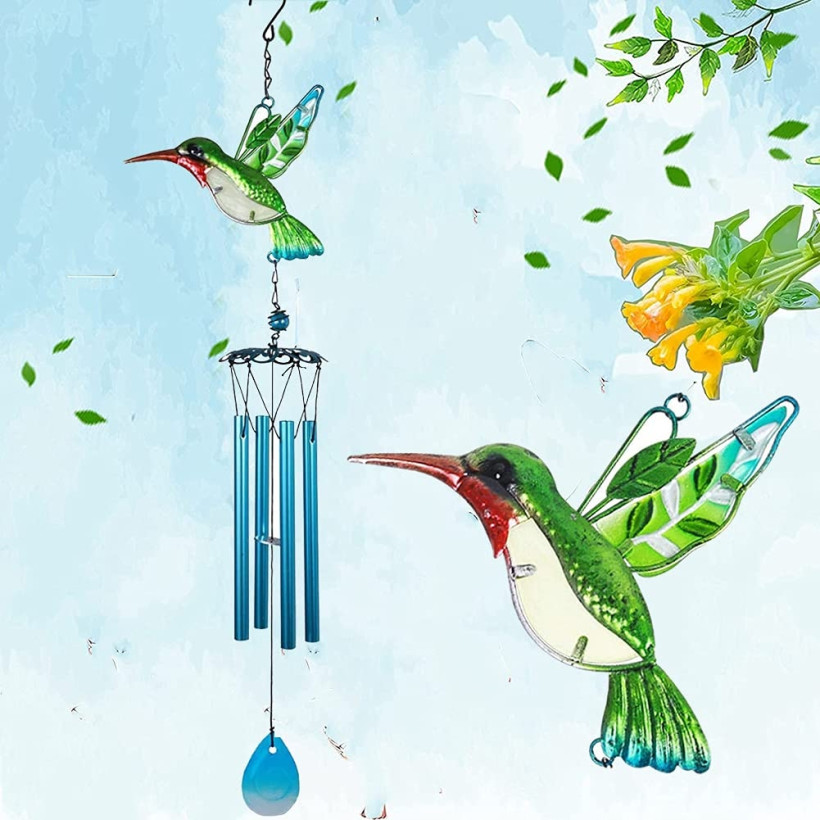 Koliberki dzwoneczki (D4)