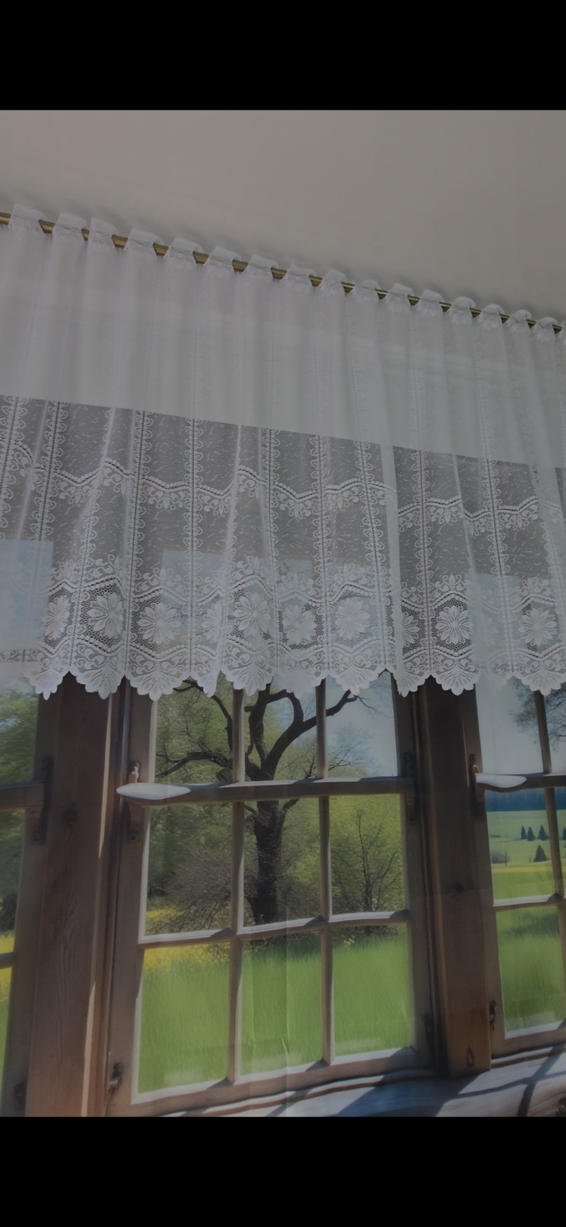 Firanka zakard 300x80cm zazdrostka