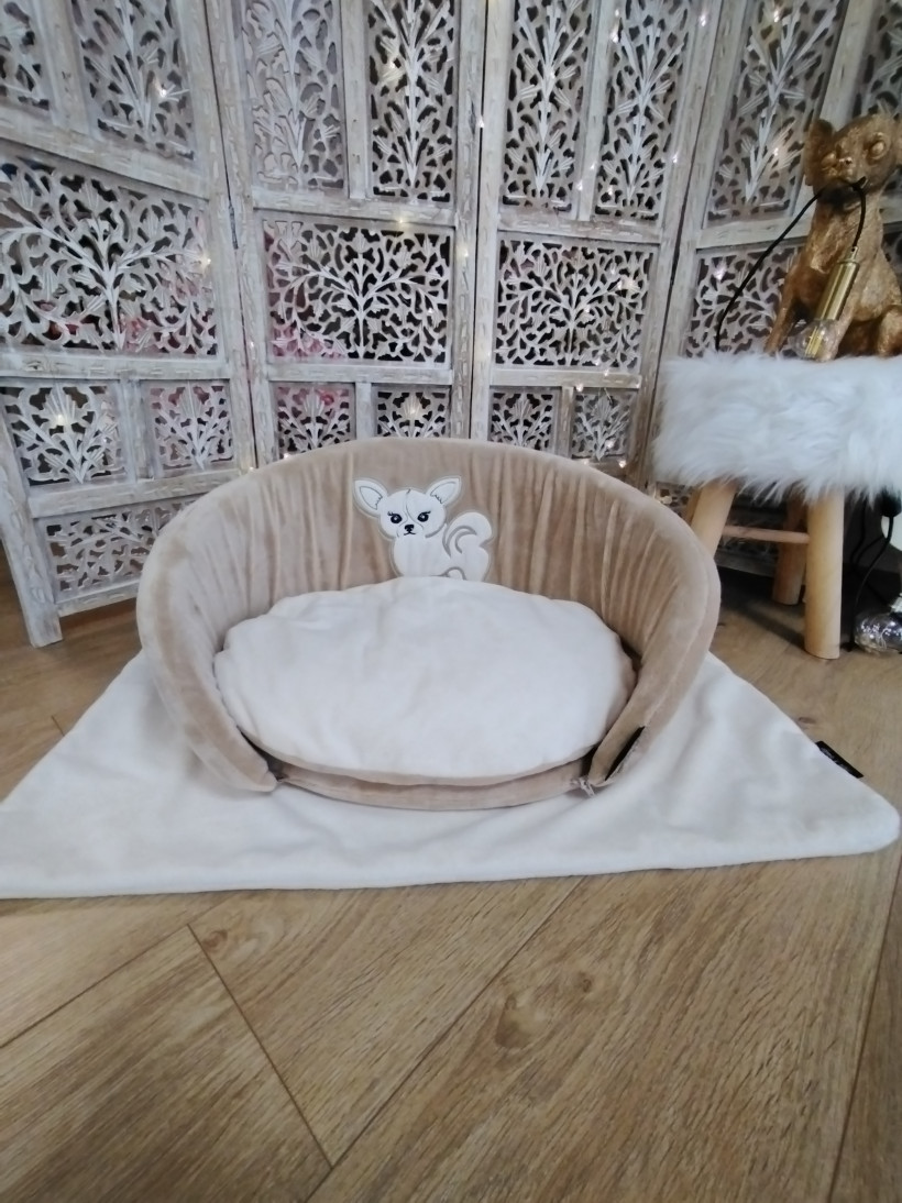 Looloo Caramel Vanille chihuahua