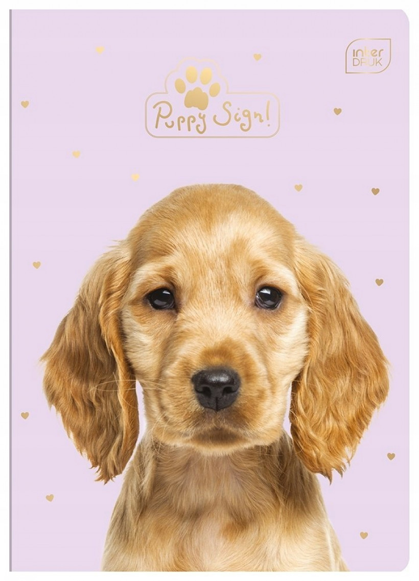 Zeszyt A5 w kratkę 16 kartek Puppy Sign- pies - fiolet 
