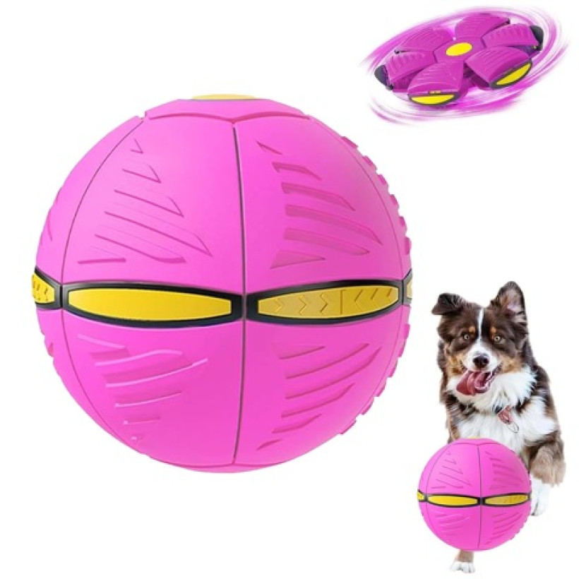 zabawka dla psa piłka frisbee