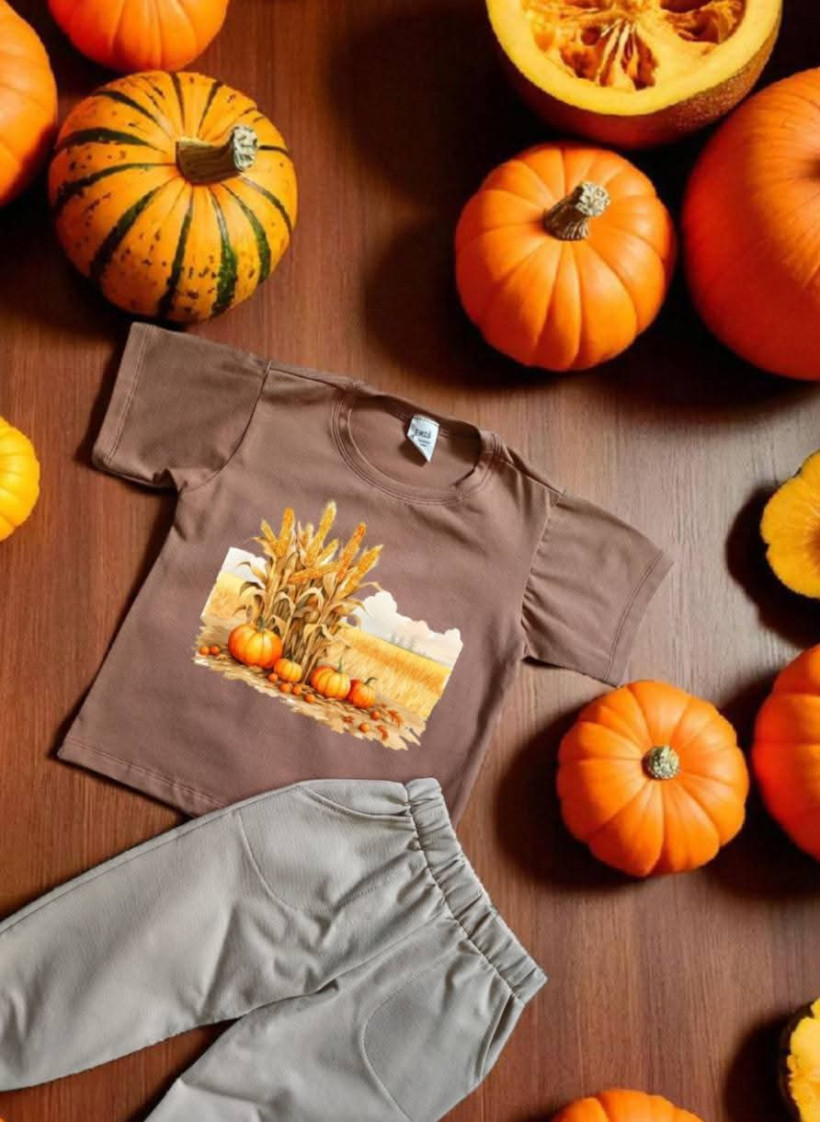 Koszulka Emiś dla dzieci Wygodna bluzka z dyniami na jesień