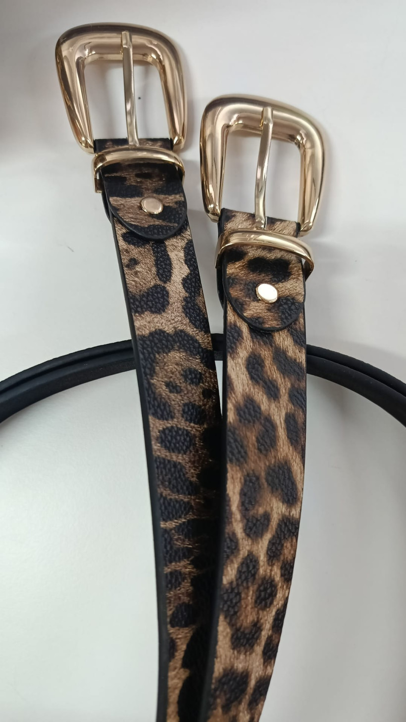 Pasek panterka węższy