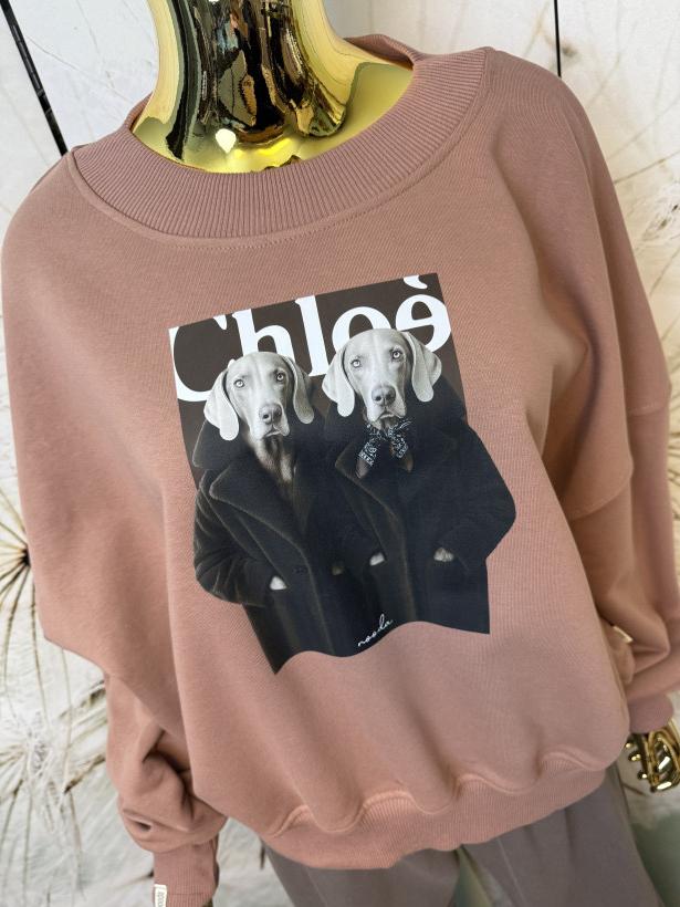 Bluza Kimono Psy w płaszczach Chloé NOODA