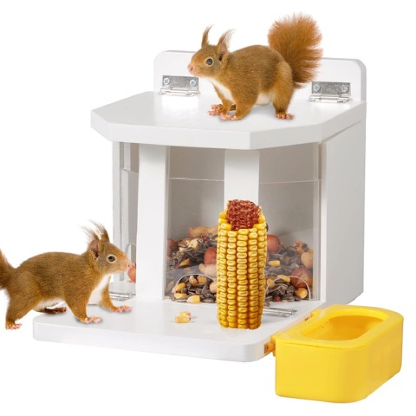 drewniany karmnik dla wiewiórek