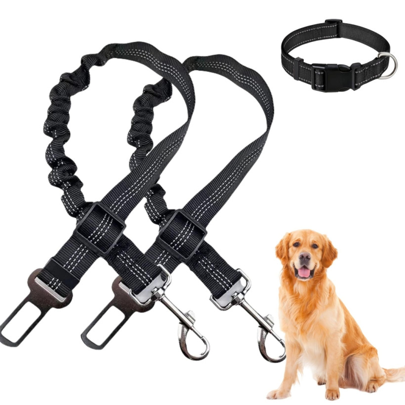 samochodowy pas bezpieczeństwa dla psów (D3)