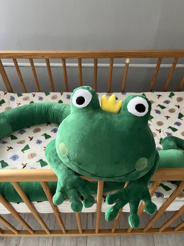 Zamówienie indywidualne - przytulanka żaba