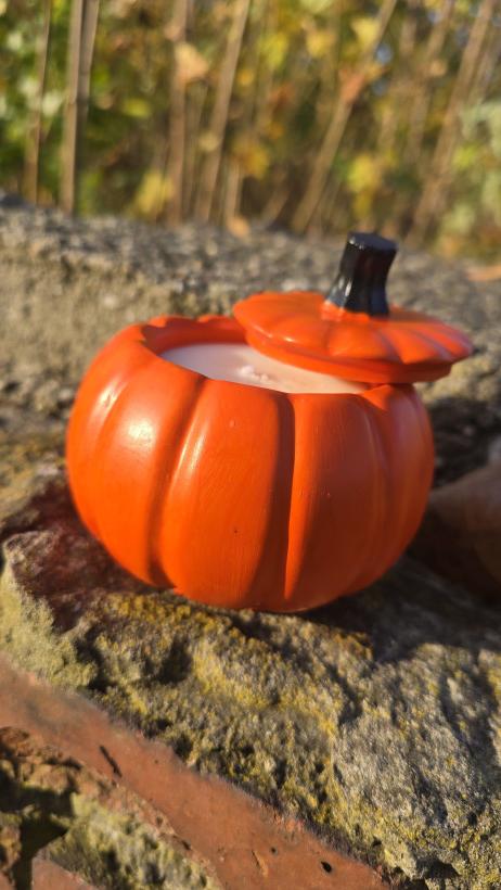 Świeca sojowa Dynia w gipsowej osłonię