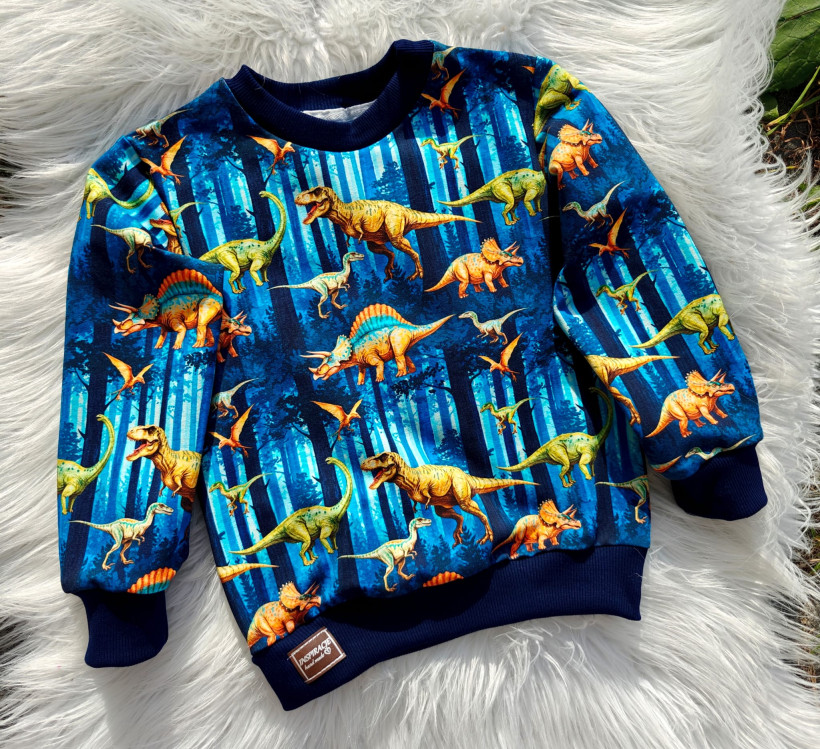 BLUZA DINOZAURY PRACOWNIA INSPIRACJE