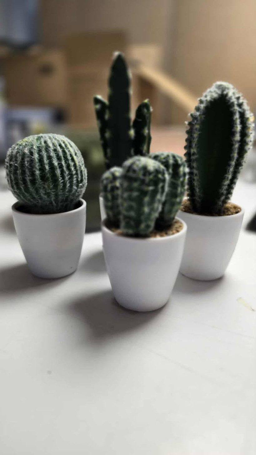 sztuczny kaktus uszkodzony 