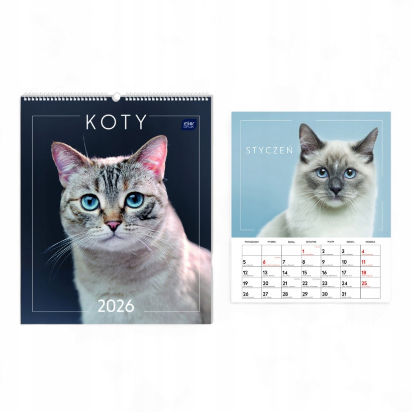 KALENDARZ ŚCIENNY KOTY 2026 INTERDRUK
