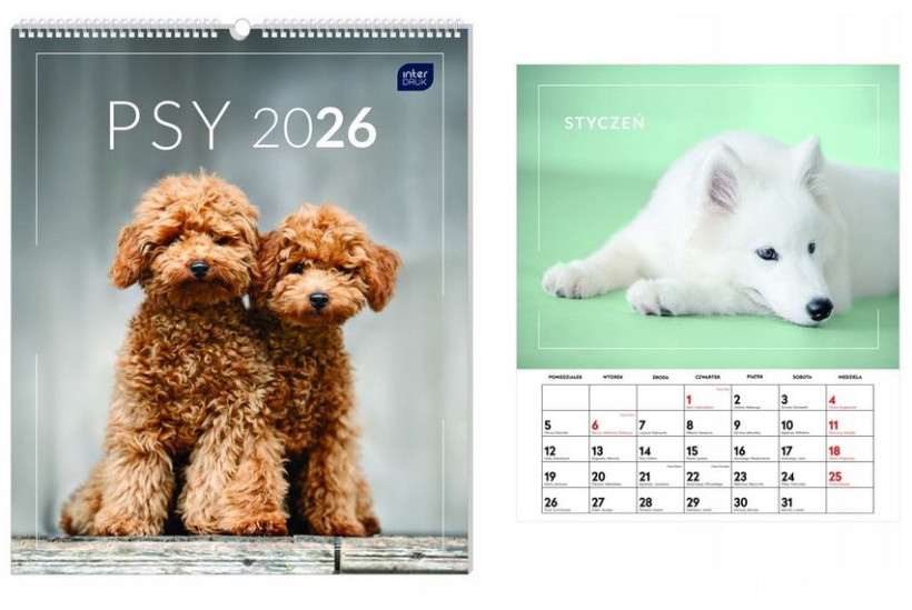 KALENDARZ ŚCIENNY PLANSZOWY 2026 ROK - 33,5x40 cm PSY PIESKI - INTERDRUK