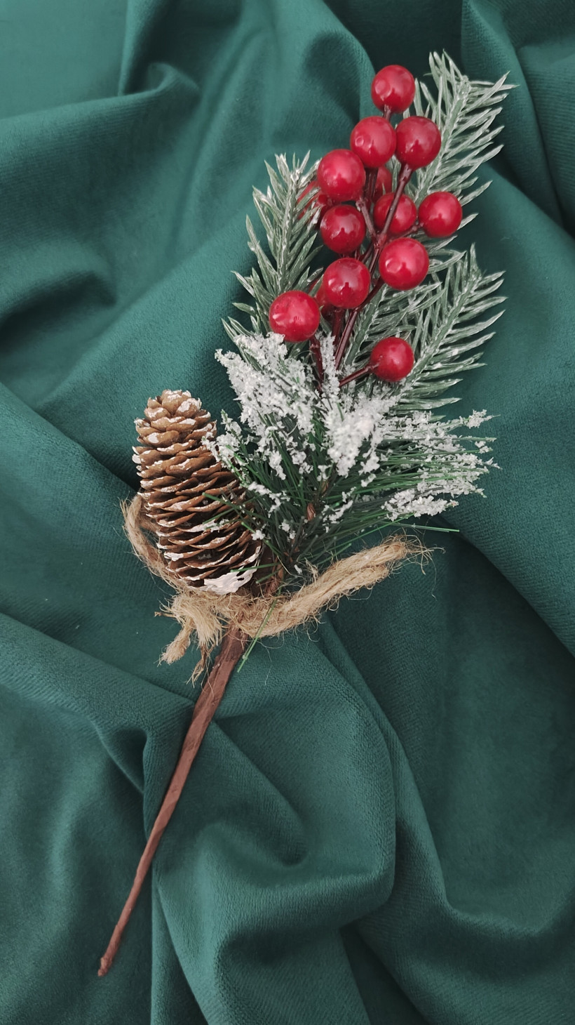 Pik szyszka jarzębina xs065