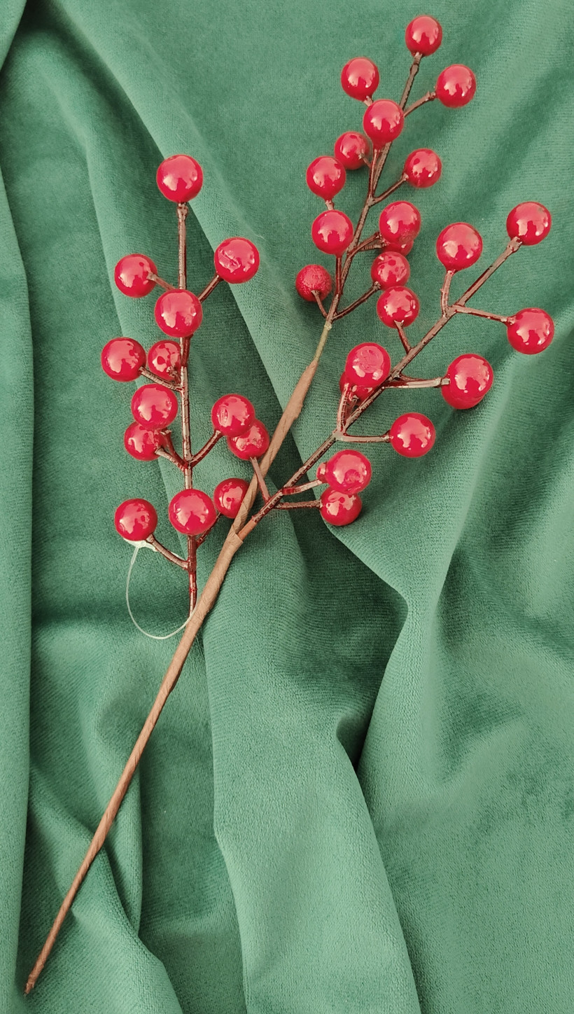 Jarzębina średnia xs060