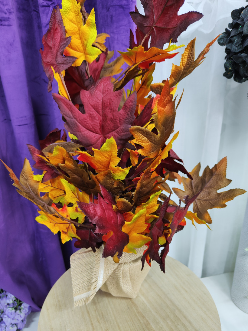 Liście w doniczce 65cm